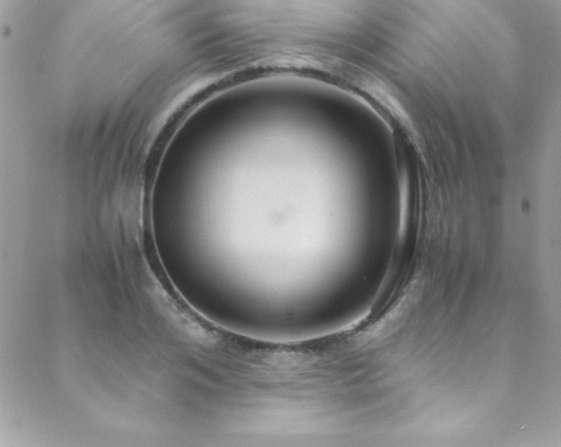 X0000089410984200706151247