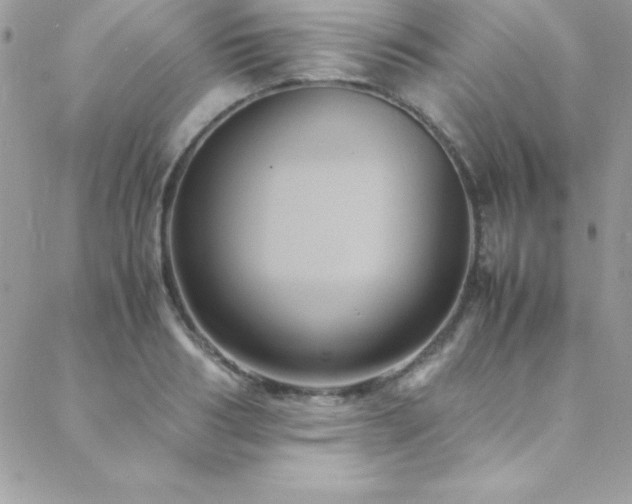 X0000089410986200706151247