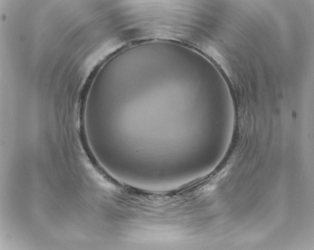 X0000089410987200706151247