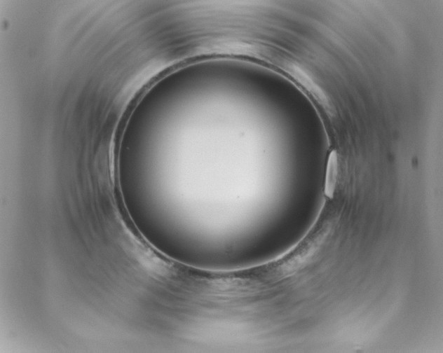 X0000089410988200706151247
