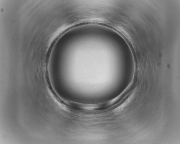 X0000089410989200706151247