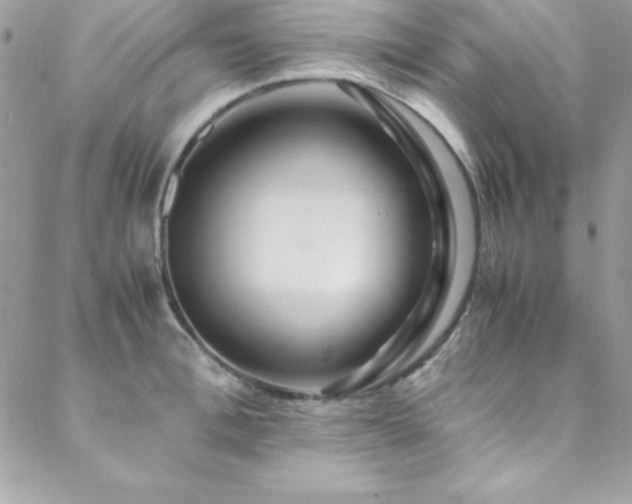 X0000089410996200706151247