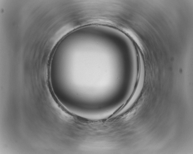 X0000089410999200706151247