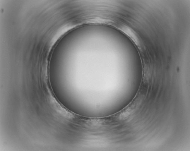 X0000089411000200706151247