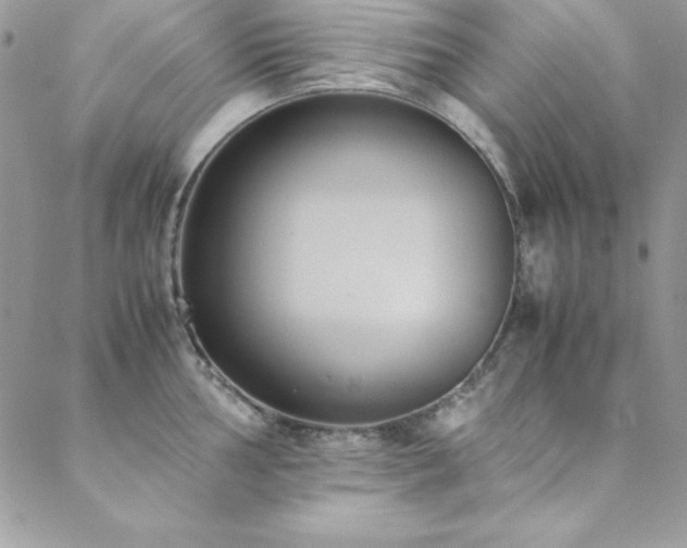 X0000089411002200706151247