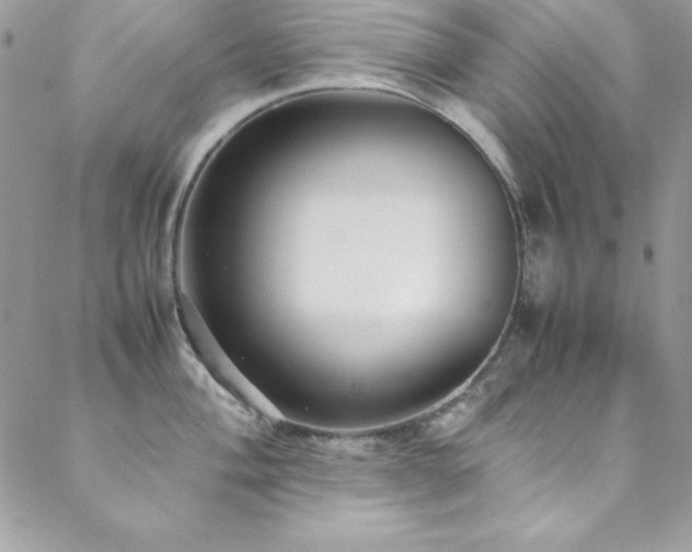 X0000089411004200706151247