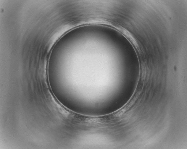 X0000089411006200706151247