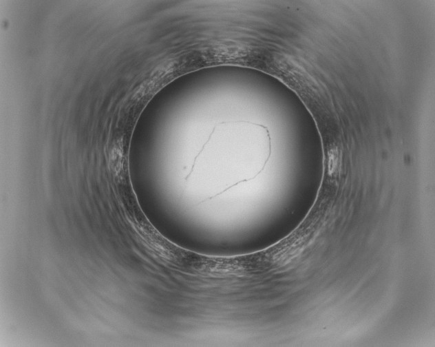 X0000089411011200706151246