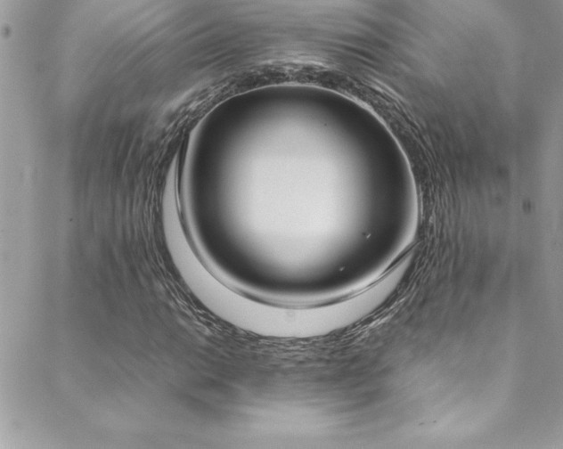 X0000089411014200706151246