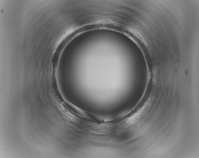 X0000089411021200706151246