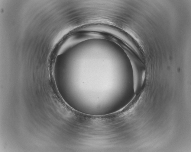 X0000089411022200706151246
