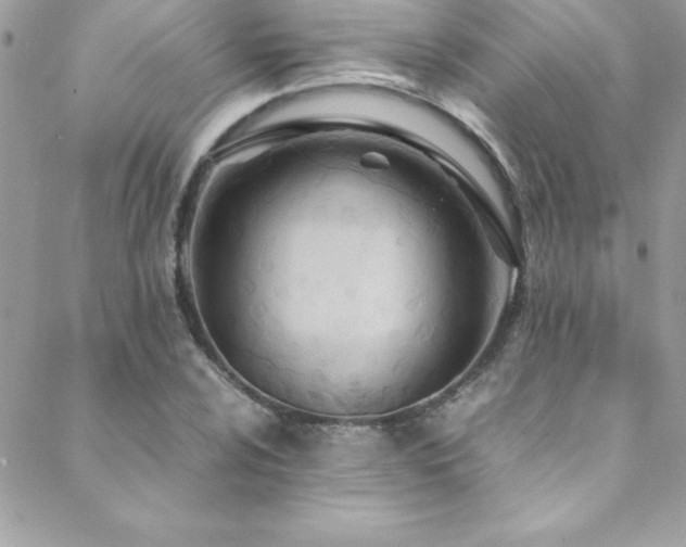 X0000089411024200706151246