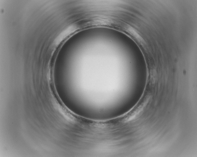 X0000089411034200706151246