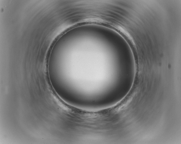 X0000089411037200706151246