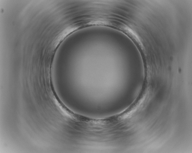 X0000089411041200706151247