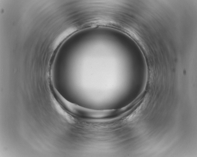 X0000089411042200706151247