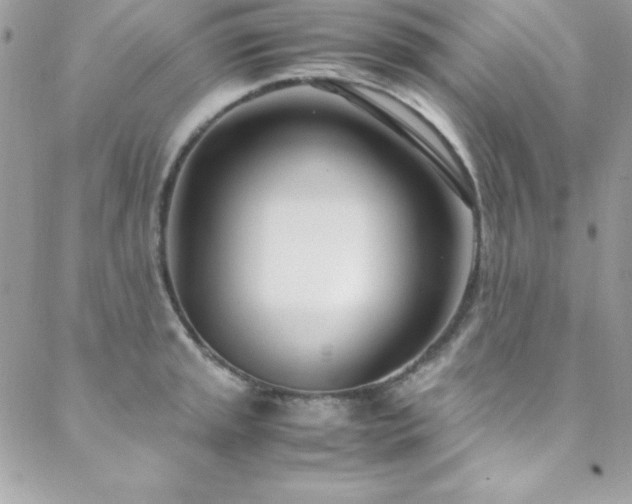 X0000089411045200706151247