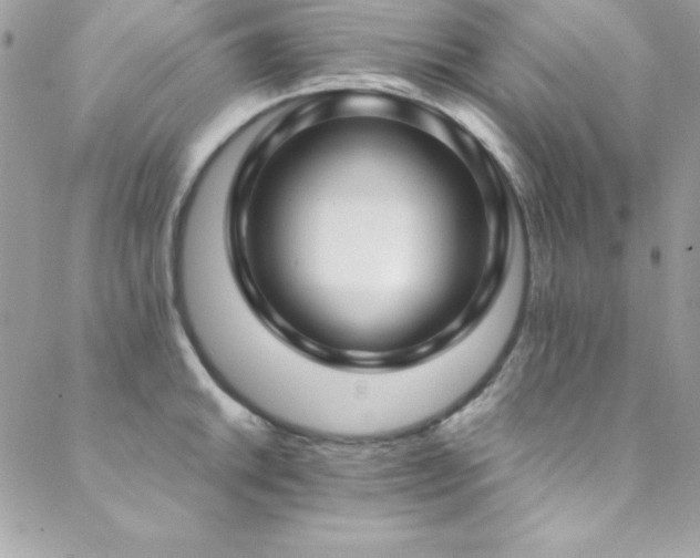 X0000089411046200706151247