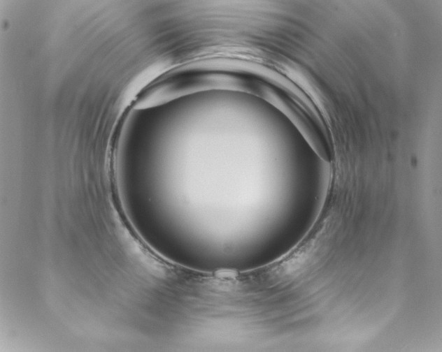 X0000089411050200706151247