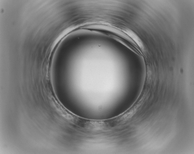 X0000089411052200706151247