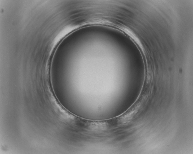 X0000089411053200706151247