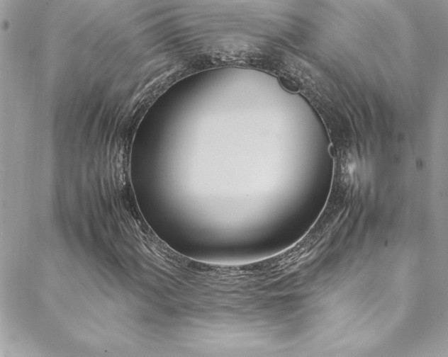 X0000089411060200706151246