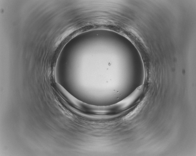 X0000089411065200706151246