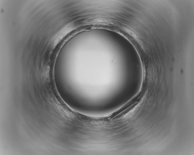 X0000089411066200706151246