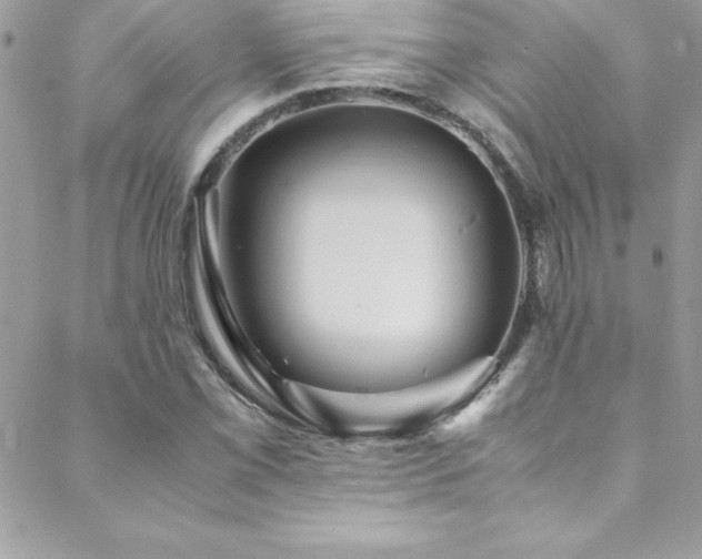 X0000089411069200706151246