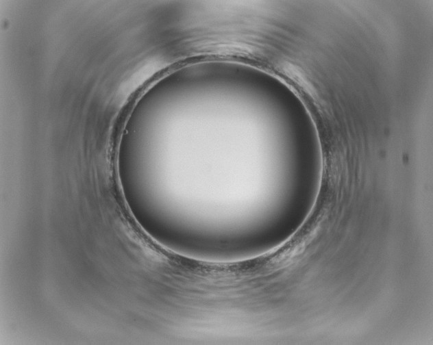 X0000089411071200706151246