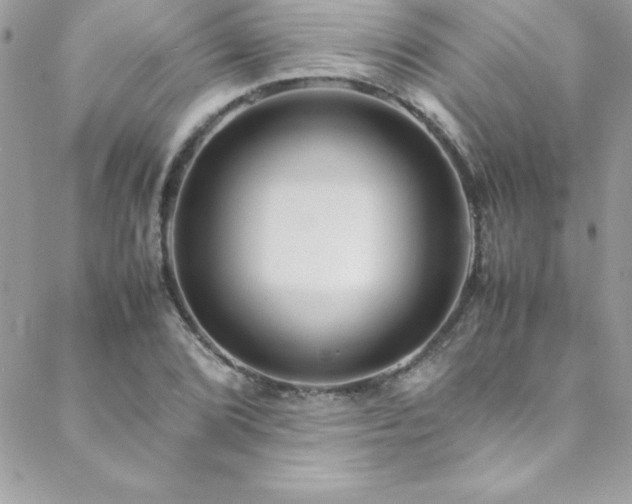 X0000089411072200706151246