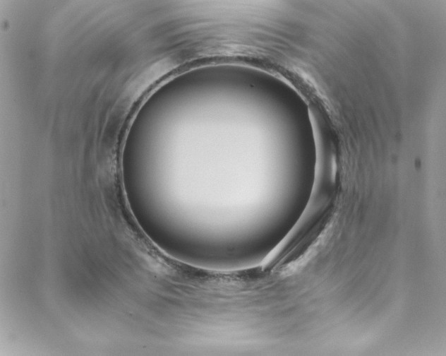 X0000089411073200706151246