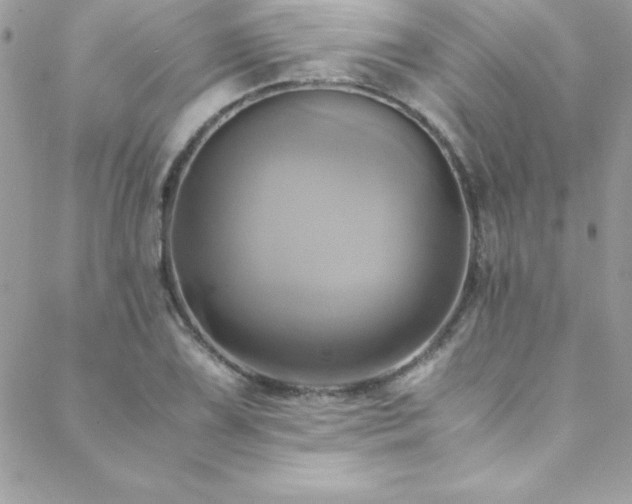 X0000089411075200706151246