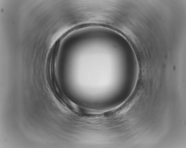 X0000089411077200706151246