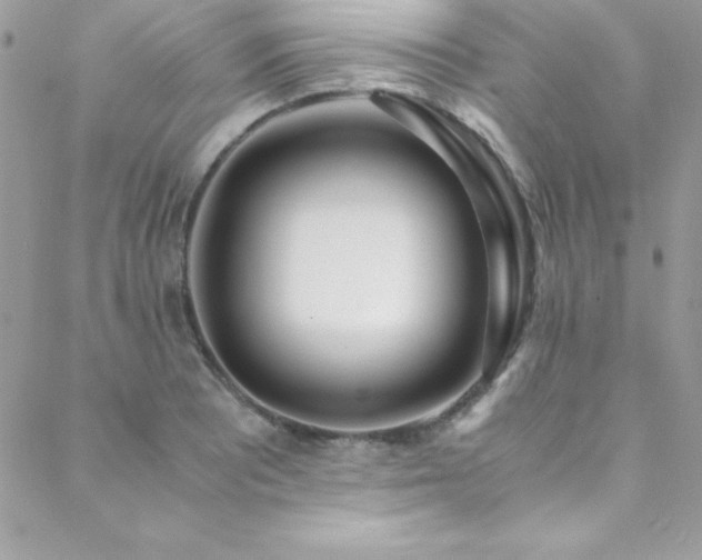 X0000089411081200706151246