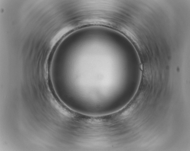 X0000089411082200706151246