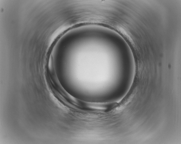 X0000089411085200706151246