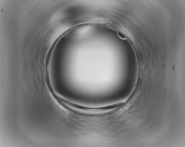 X0000089411087200706151246