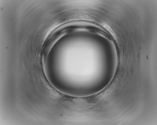 X0000089411089200706151245