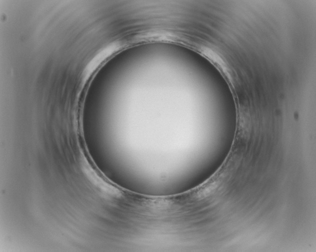 X0000089411090200706151245