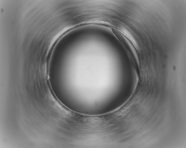 X0000089411092200706151245