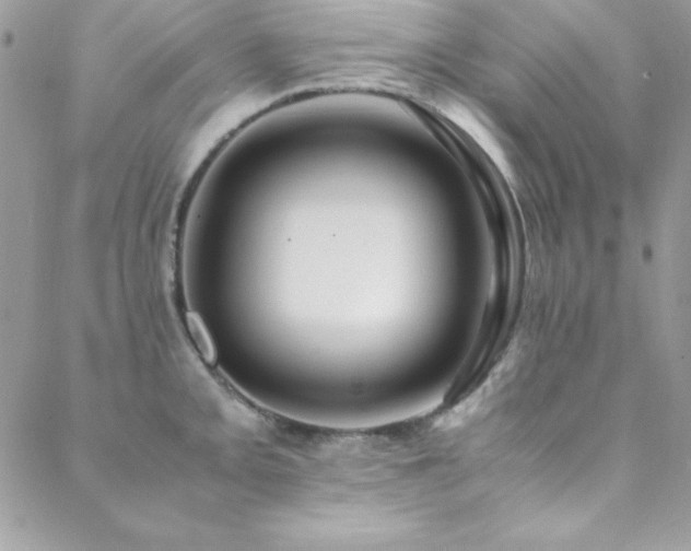 X0000089411093200706151245