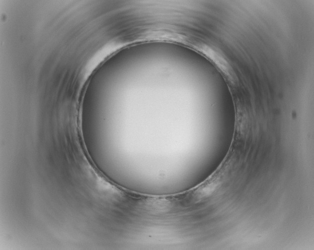 X0000089411094200706151245