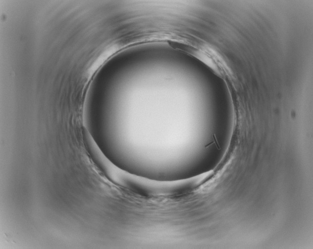 X0000089411097200706151245
