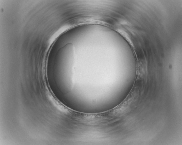 X0000089411098200706151245