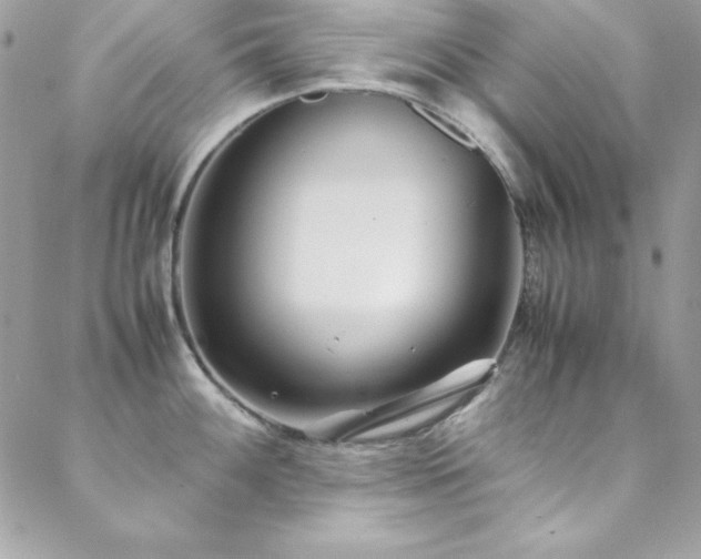 X0000089411100200706151245