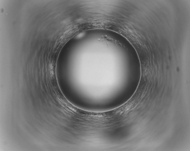X0000089411106200706151244