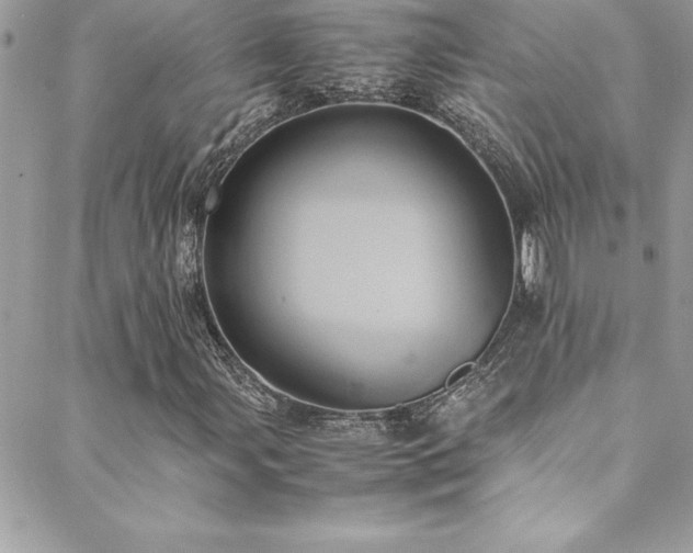 X0000089411107200706151244