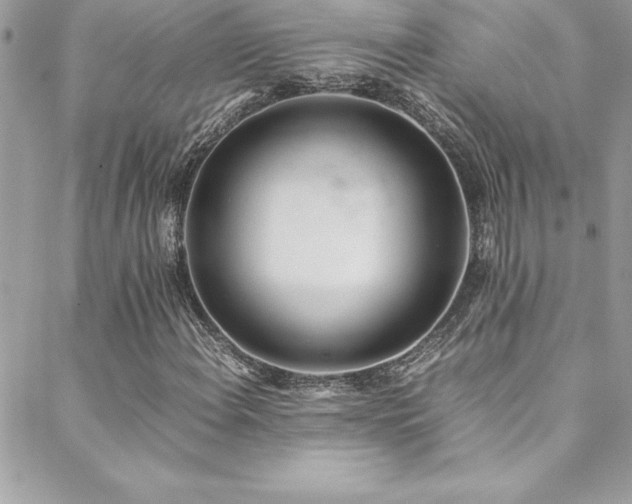 X0000089411108200706151245