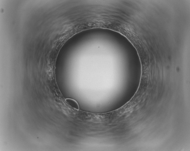 X0000089411109200706151245